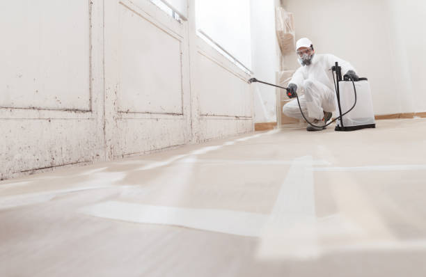 24/7 Emergency Black Mold Remediation experts in Peapack, NJ